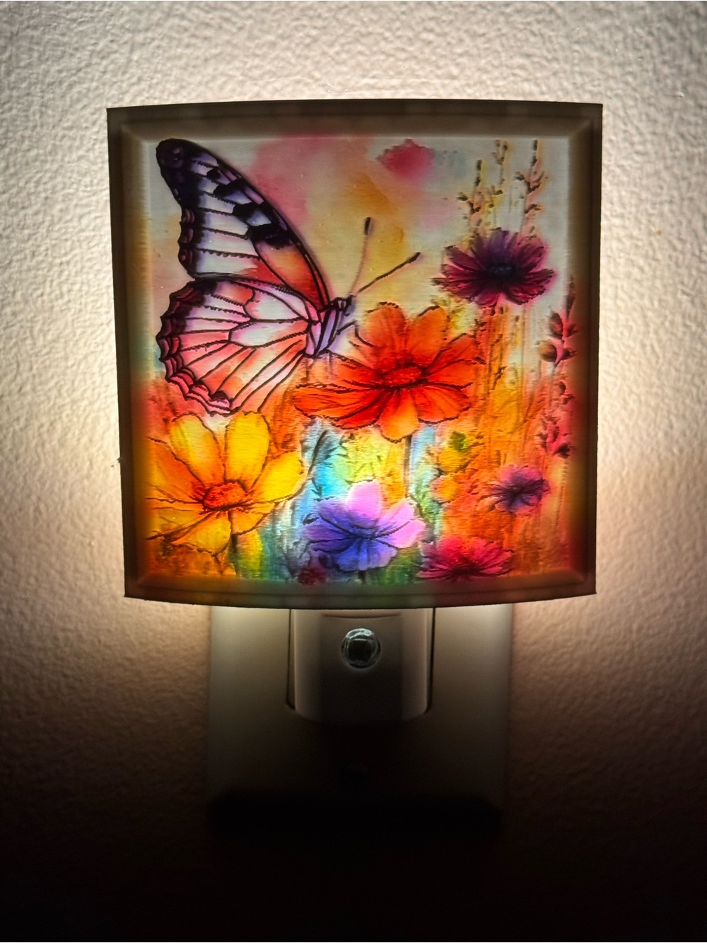 Butterfly Garden Night Light Wall Art - Multicolor